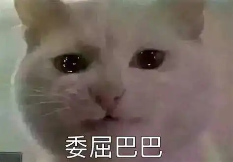 主子不回应我是太高冷了吗不也有可能是生病了