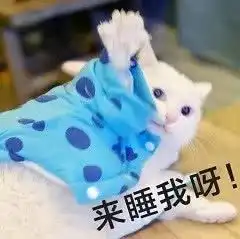 适合撩骚对象的喵星人表情包