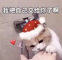 圣诞节表情包系列红帽子