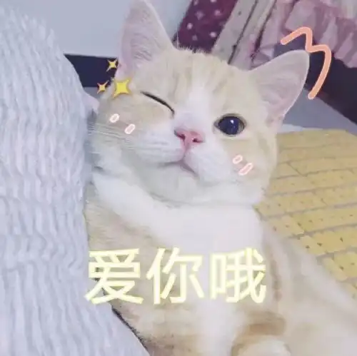 你关心的春节天气来了除夕当天竟然