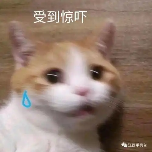 冷汗表情包微信