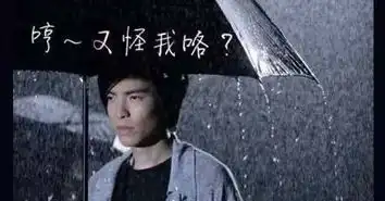 来自东方的一股神秘力量雨神萧敬腾