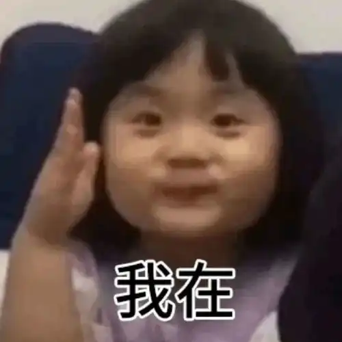 举手小女孩表情包来啦下次发言之前先举手