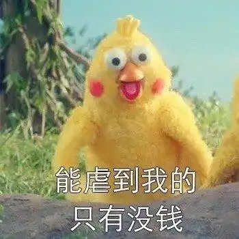 鹦鹉兄弟表情包对不起,情人节虐不了我,我最爱的是钱