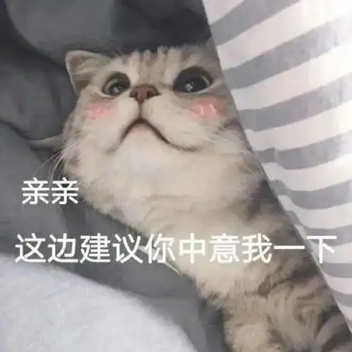 可爱仙女表情包亲亲这边建议你中意我一下