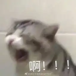 肖战李现展示了追星的最高境界