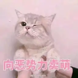 沙雕表情我虽然错了,但是原谅我就是你的问题