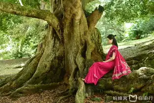 一本正经的跟你们说说斯里兰卡