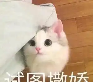 我就盯到你喜欢我为止