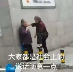 表情包社会奶奶