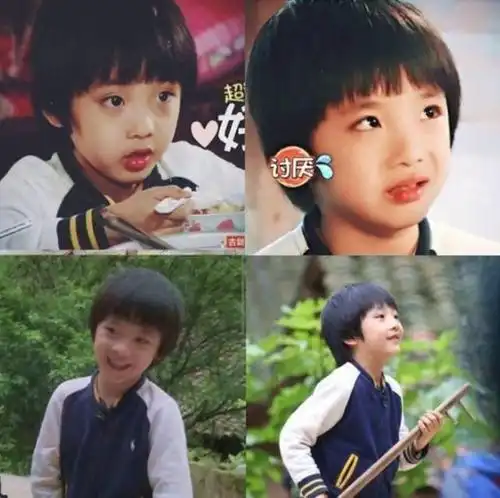 吴镇宇儿子费曼逆袭式长大,颜值高气质好,妥妥的小王子