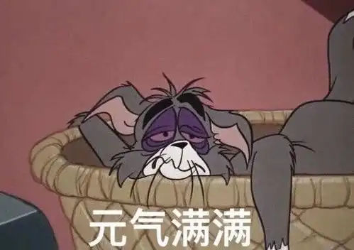 为什么你总是晚睡