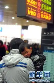 2011春运表情酸甜苦辣回家路