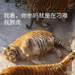 一个能打的都没有表情包推送