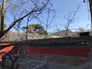 潭柘寺等待玉兰花开