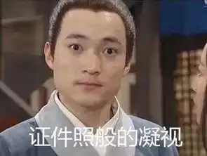 表情包外国人说这是中国的第五大发明