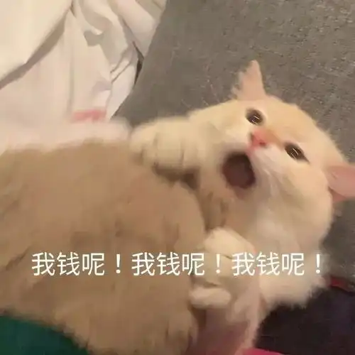 求关心表情包我不后悔