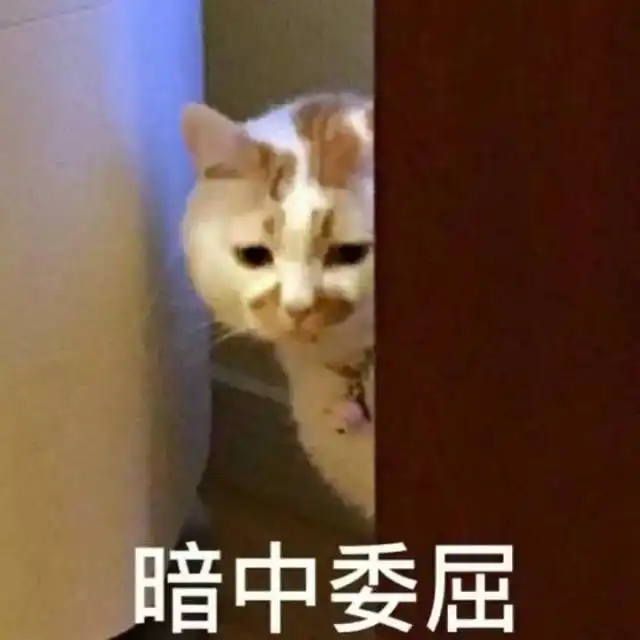 一大拨网友自曝减肥前后的对比照这才是最好的整容