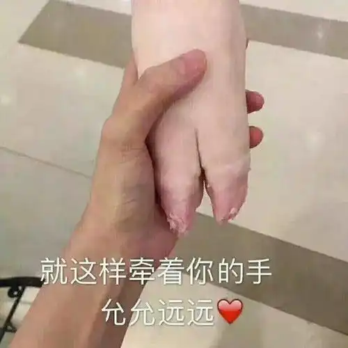 舔狗守恒定律每日搞笑段子