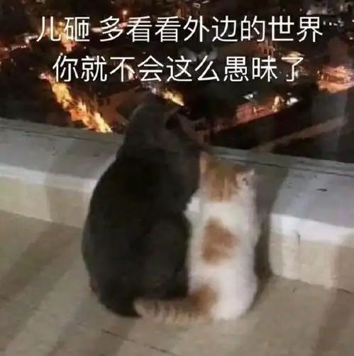 分享15个阴阳怪气的表情包让你聊天无敌