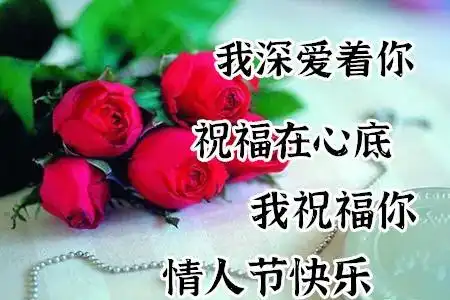 女儿情人节祝福表情包时