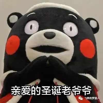 周六清晨,lets用脚步丈量虹桥机场