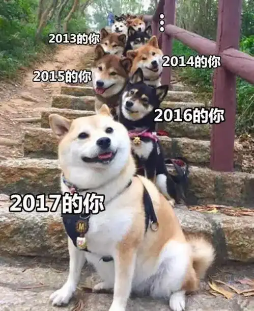 海南一男子为求脱单,竟网购k粉,结果被拘留15天,社区戒毒三年