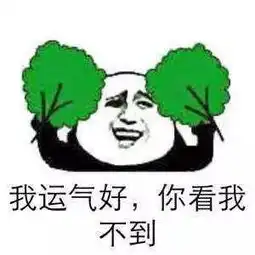 据说,桐庐街上坐了这辆3路车的人都......