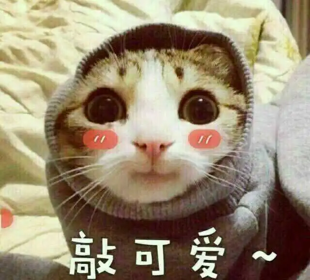 鹅们,有什么推荐的电视剧吗希望淳朴一点,不喜...