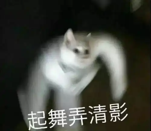 三团表情包什么动物沙雕