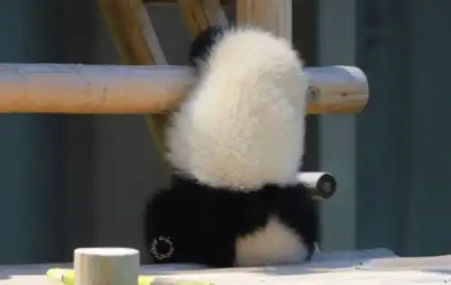 百年修得同船渡,千年修得神同步