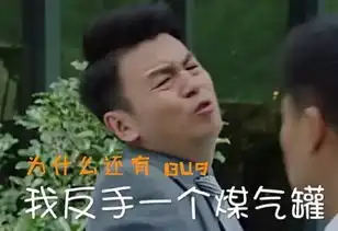 程序员版表情包我的前半生,火爆朋友圈