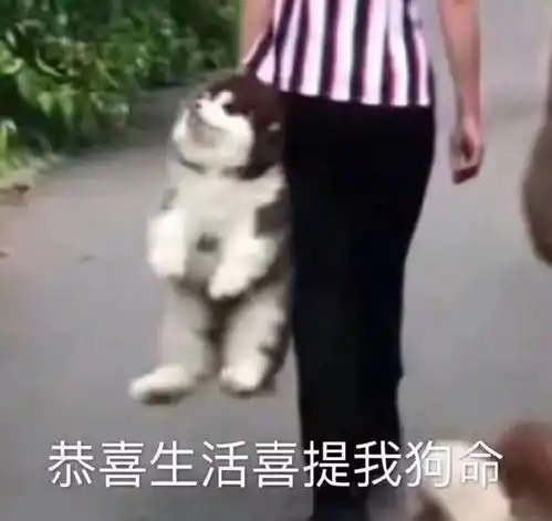 羊肉串表情包后厨