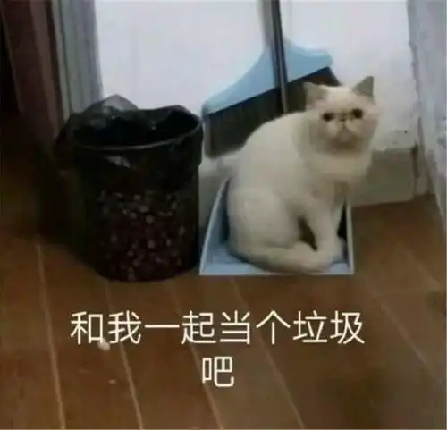 kkkk