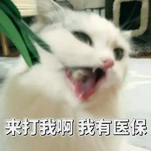 如何看待跑男上的陈赫和李沁组合