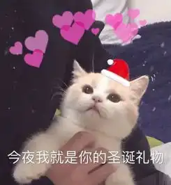 叮你的圣诞节猫咪表情包已送到