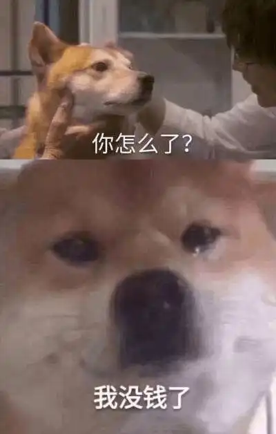 169元的耐克蝴蝶结被炒到10万元,世界疯了还是我疯了