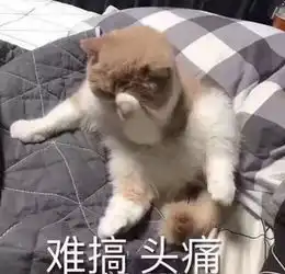 两大高考专题讲座强势来袭