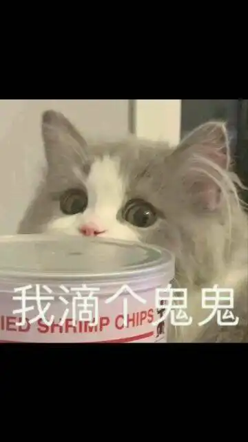 那个等一下,我有一个秘密想要告诉你