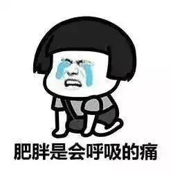 肥胖是会呼吸的痛表情包无水印版