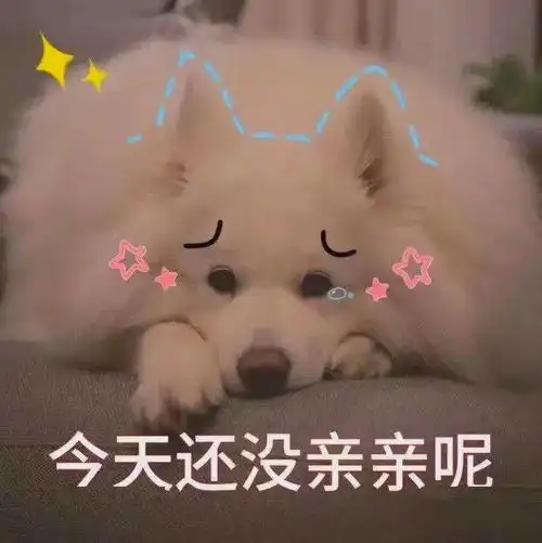 撩妹表情包动漫情侣头像