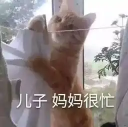 熬过夜,才知道精华多么重要