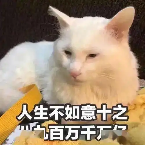 你沦陷个啥,我长得很沼泽吗第244期喵表情