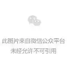 幻塔白月魁表情包qq表情