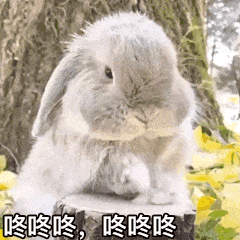 表情包一想到给祖国庆生我的内心就开始动次打次