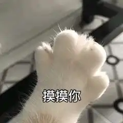 坏坏的撩妹表情包今天你那里吹风了吗风有告诉你我喜欢你吗