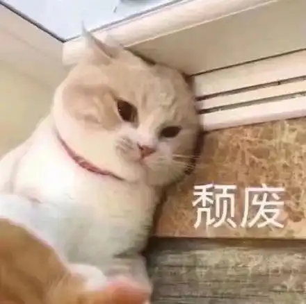 一波热门表情包请收下