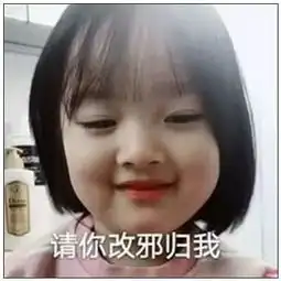 你丫是怎么做项目的