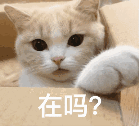 搞笑表情包,来自小猫咪的问候