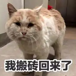 这年头浮夸的小说情节,简直是在侮辱我们的专业智商